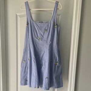 Women’s Blue Striped Seersucker Dress with Lemon Embroidery
